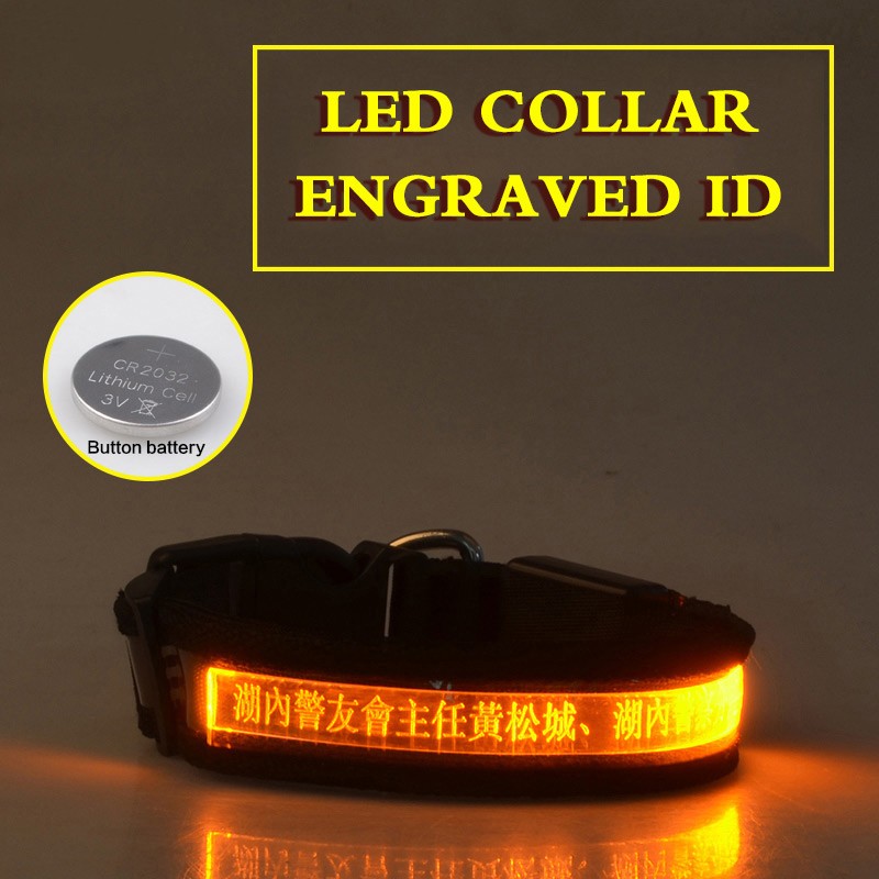 Pet Glow Collar Radium Carved Lettering Dog Collar Yellow - Shop at LoveMi