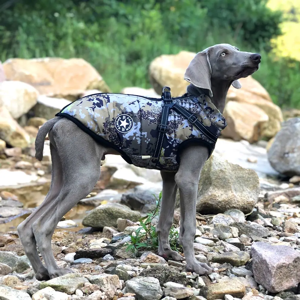 Winter Warm Camouflage Big Dog Shell Jacket Waterproof Reflective