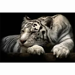 Modern Animal Canvas Painting Tiger Head Black And White Posters - Aq2025 - View 1