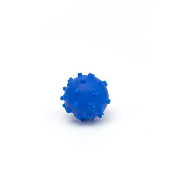 Dog Toy Balls Bright Color Spike Dog Balls Puppy Chew Toys For Teething Training Interactive Fetch Dog Balls Outdoor Water Toys For Small Dog Puppy... Blue - Shop at LoveMi
