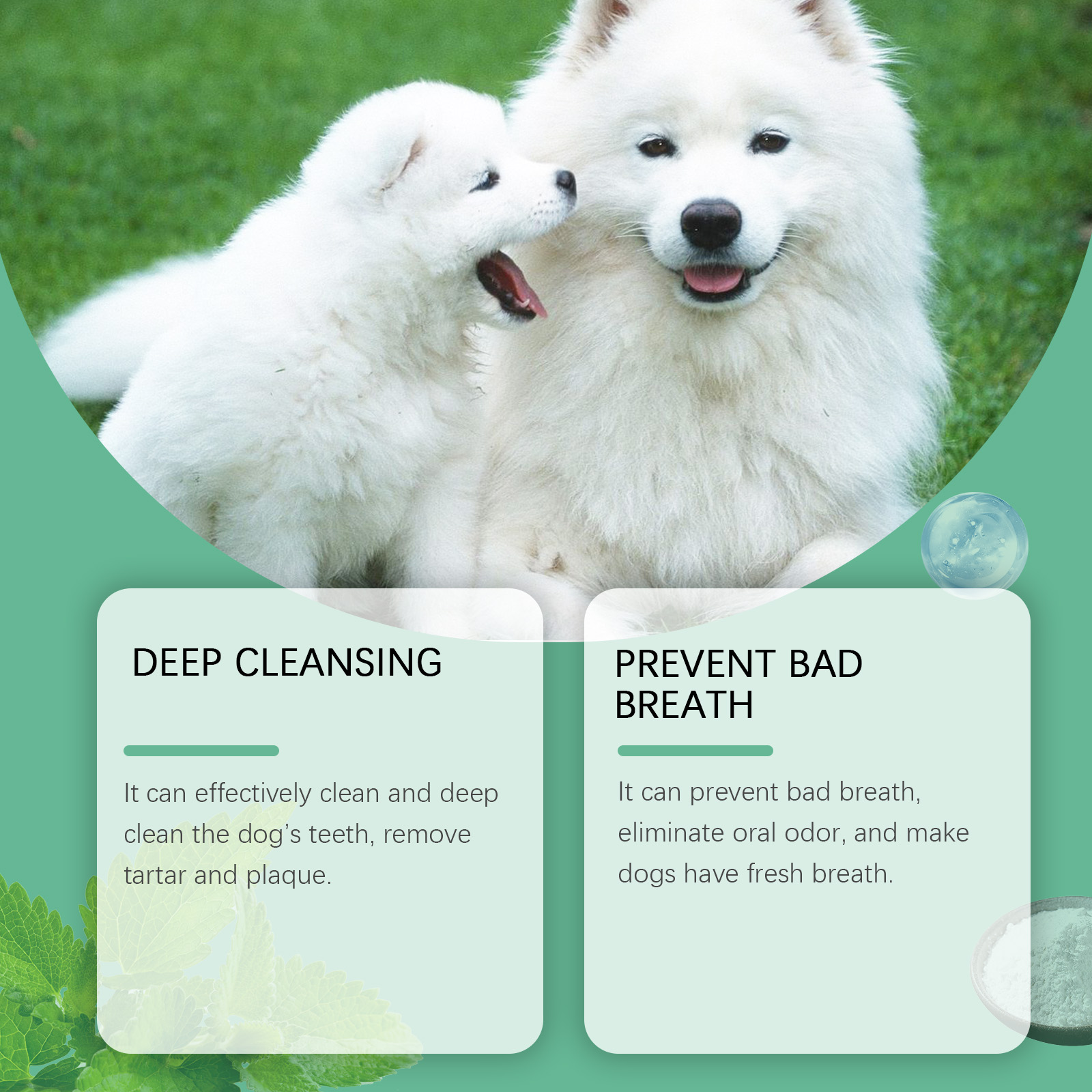 Dog Tooth Cleaning Powder 9