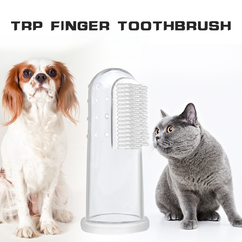 Pet Oral Hygiene Kit with Brushes, Toothpaste, and Flavors including a dual-sided toothbrush, long handle design, soft bristles, fingerbrush, and poultry-flavored toothpaste.