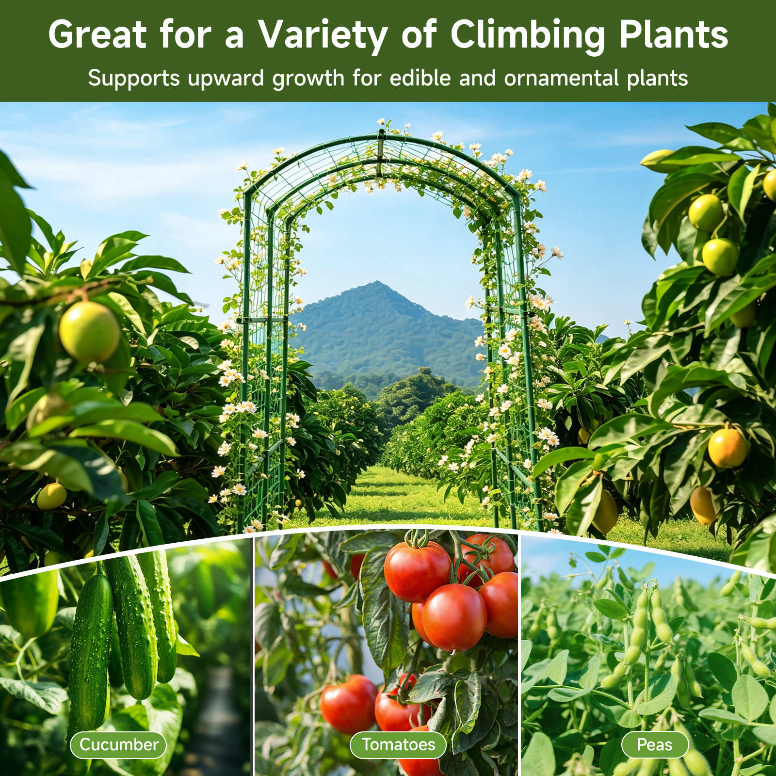 Heavy Duty 20mm Large Diameter Metal Cucumber & Loofah Trellis, U-Shape Garden Arch for Raised Bed, Climbing Vegetable Plant Support — foto 6