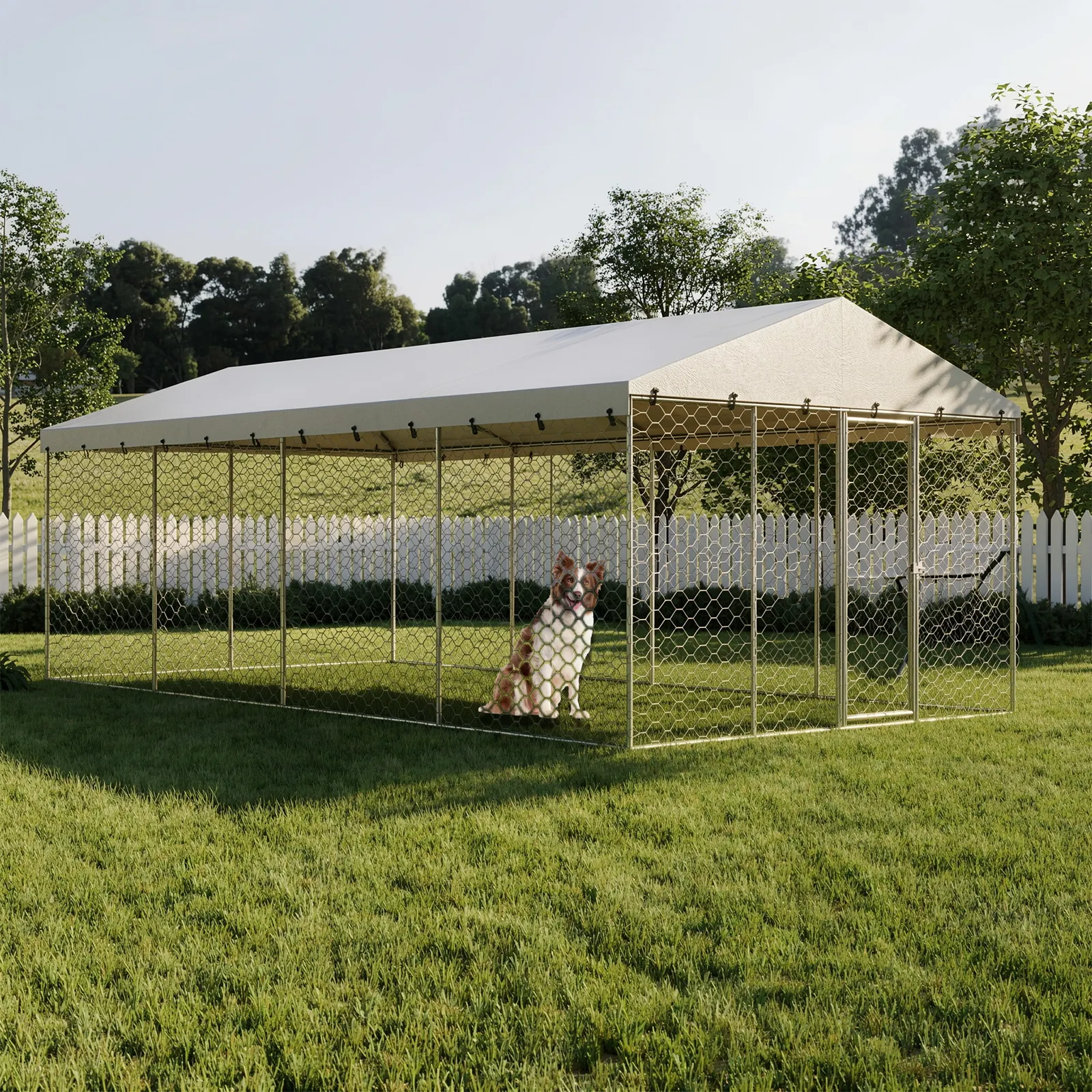10x20 FT Large Outdoor Dog Kennel
