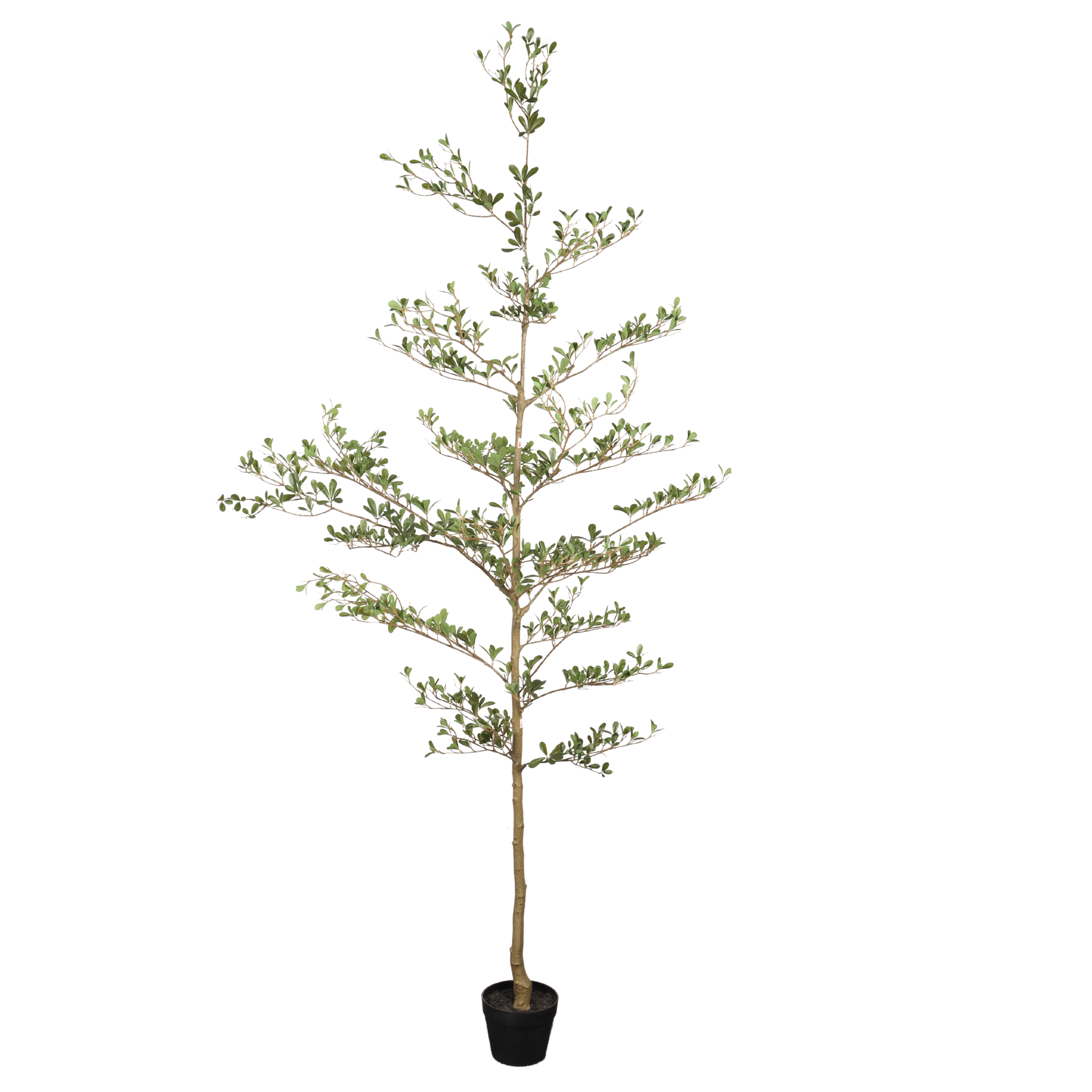 7FT Artificial Black Olive Tree with Black Plastic Pot, Realistic Tall Fake Plant for Indoor Home Living Room Corner Decoration, 1pc/set — foto 6