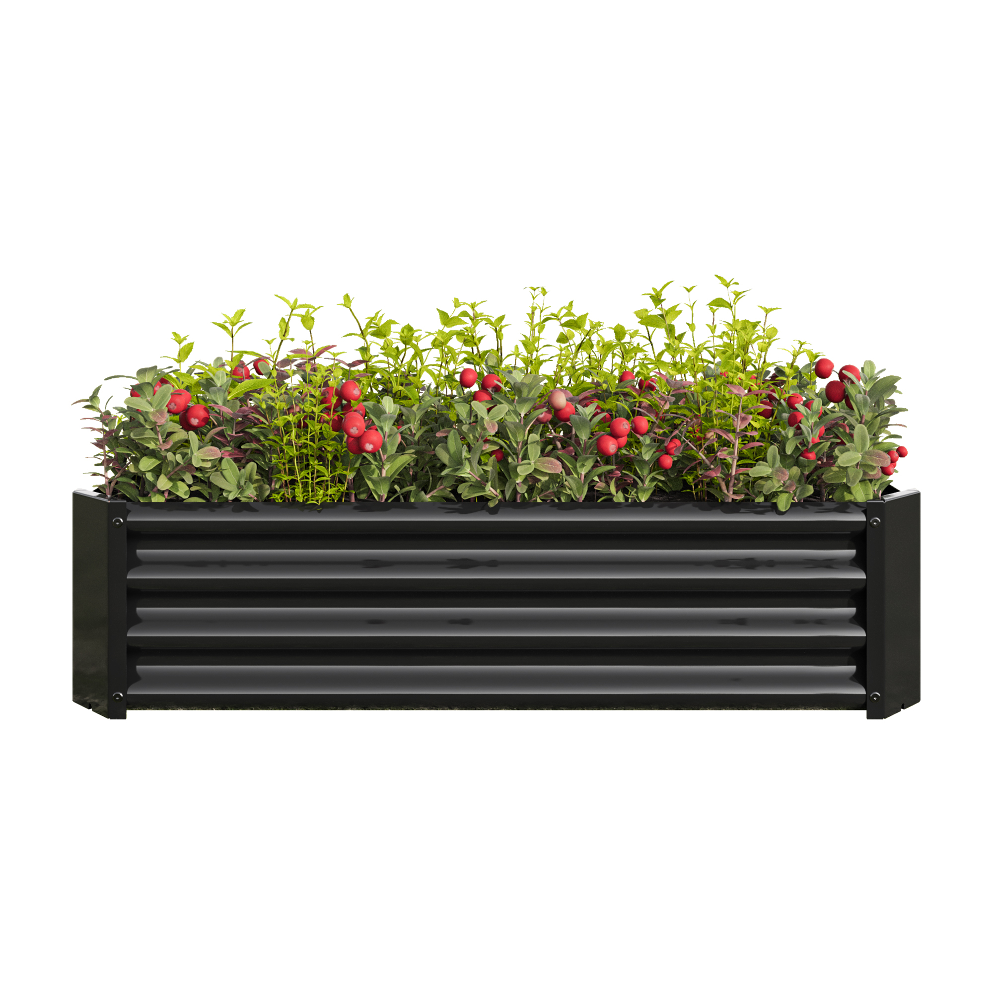 2PCS Black 4×2×1ft Metal Raised Garden Bed, Rectangle Raised Planter for Flowers Plants, Vegetables Herb — foto 8