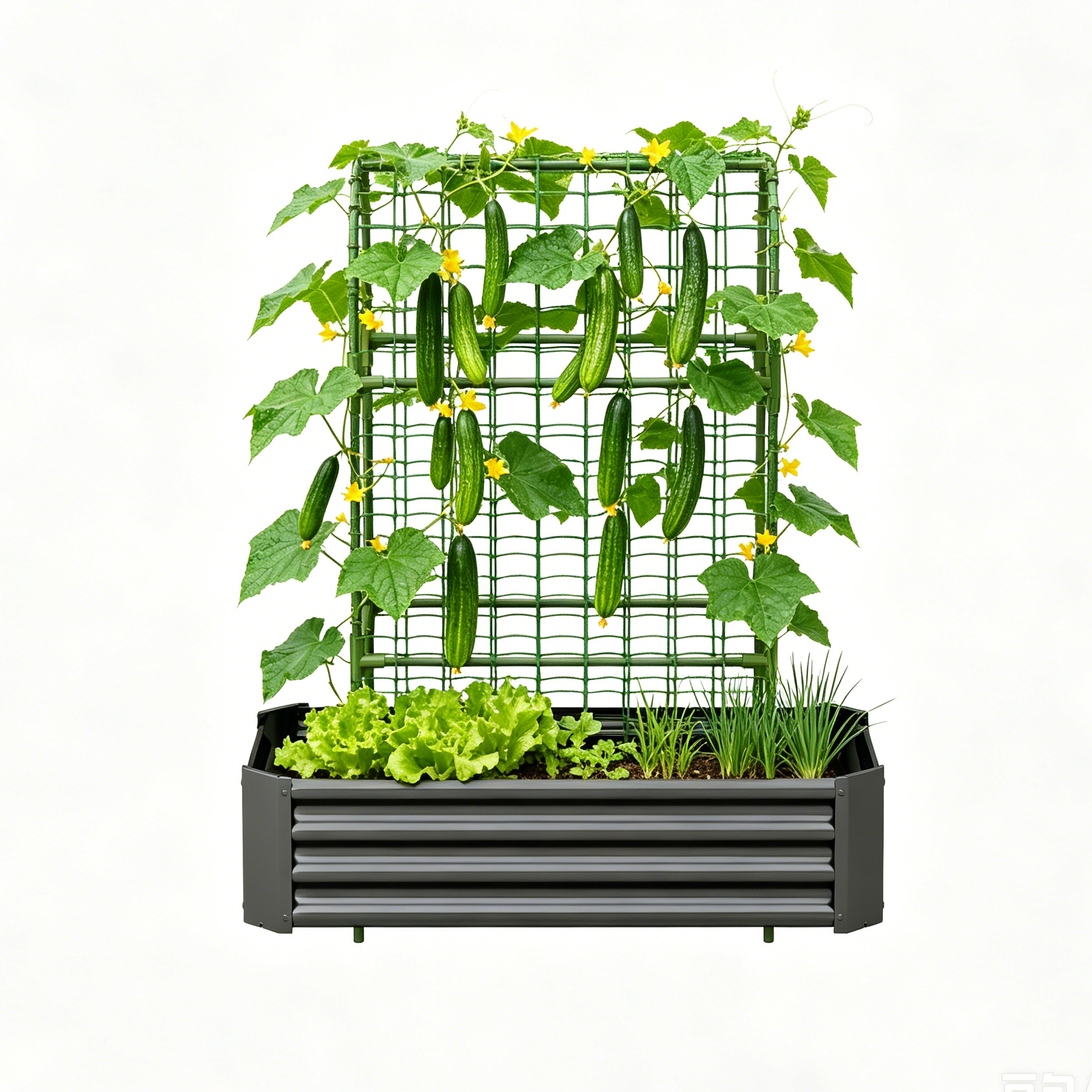 2-in-1 Raised Garden Bed with Trellis - 59" Tall Arch Planter Box for Climbing Plants, Outdoor Galvanized Metal Gardening Bed for Vegetables, Fruits, Flowers (Black, 4x2x1 Ft) — foto 6