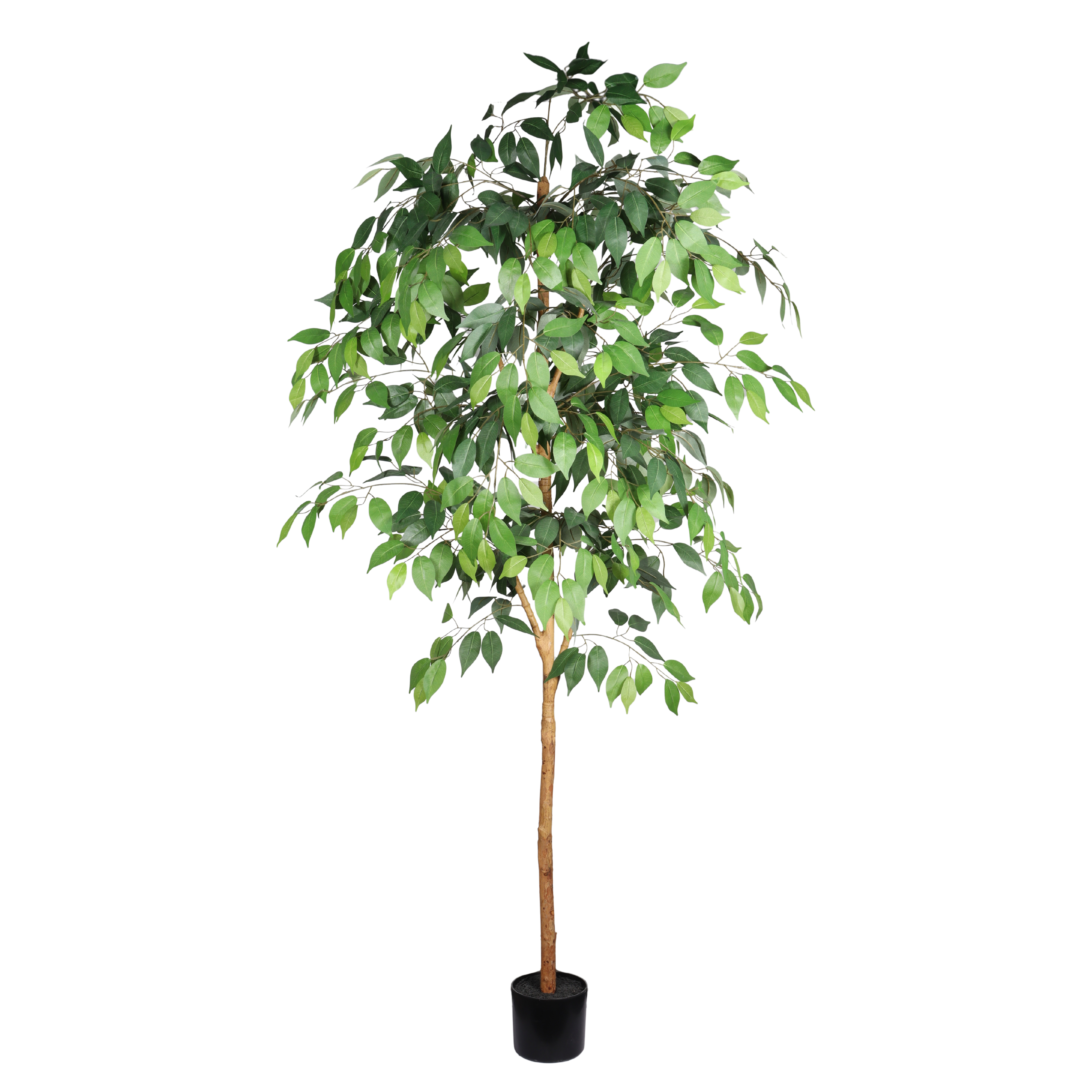 6FT Artificial Ficus Tree with Natural Trunk in Black Plastic Pot for Indoor Home Office Decor, 1pc/set — foto 2