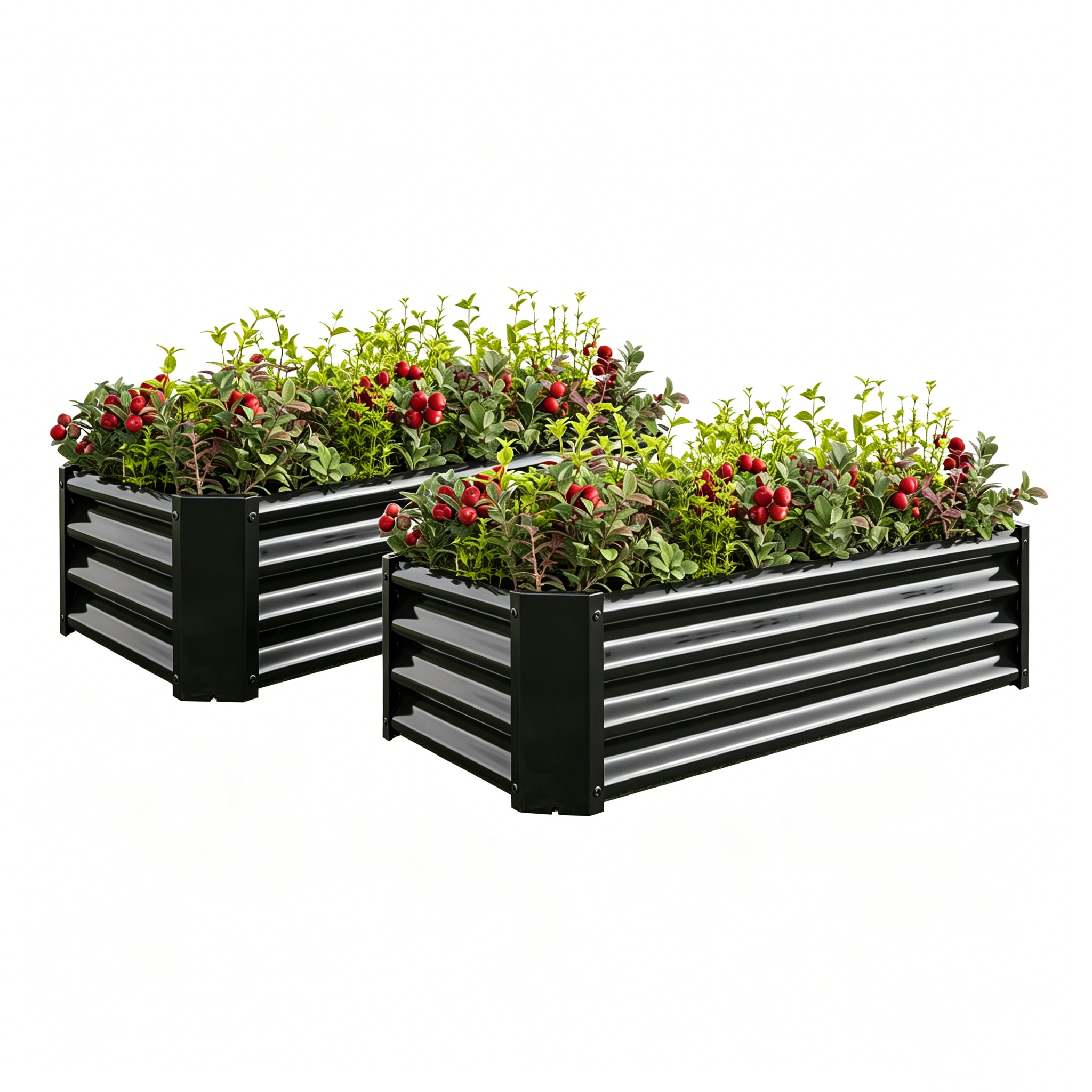 2PCS Black 4×2×1ft Metal Raised Garden Bed, Rectangle Raised Planter for Flowers Plants, Vegetables Herb — foto 3