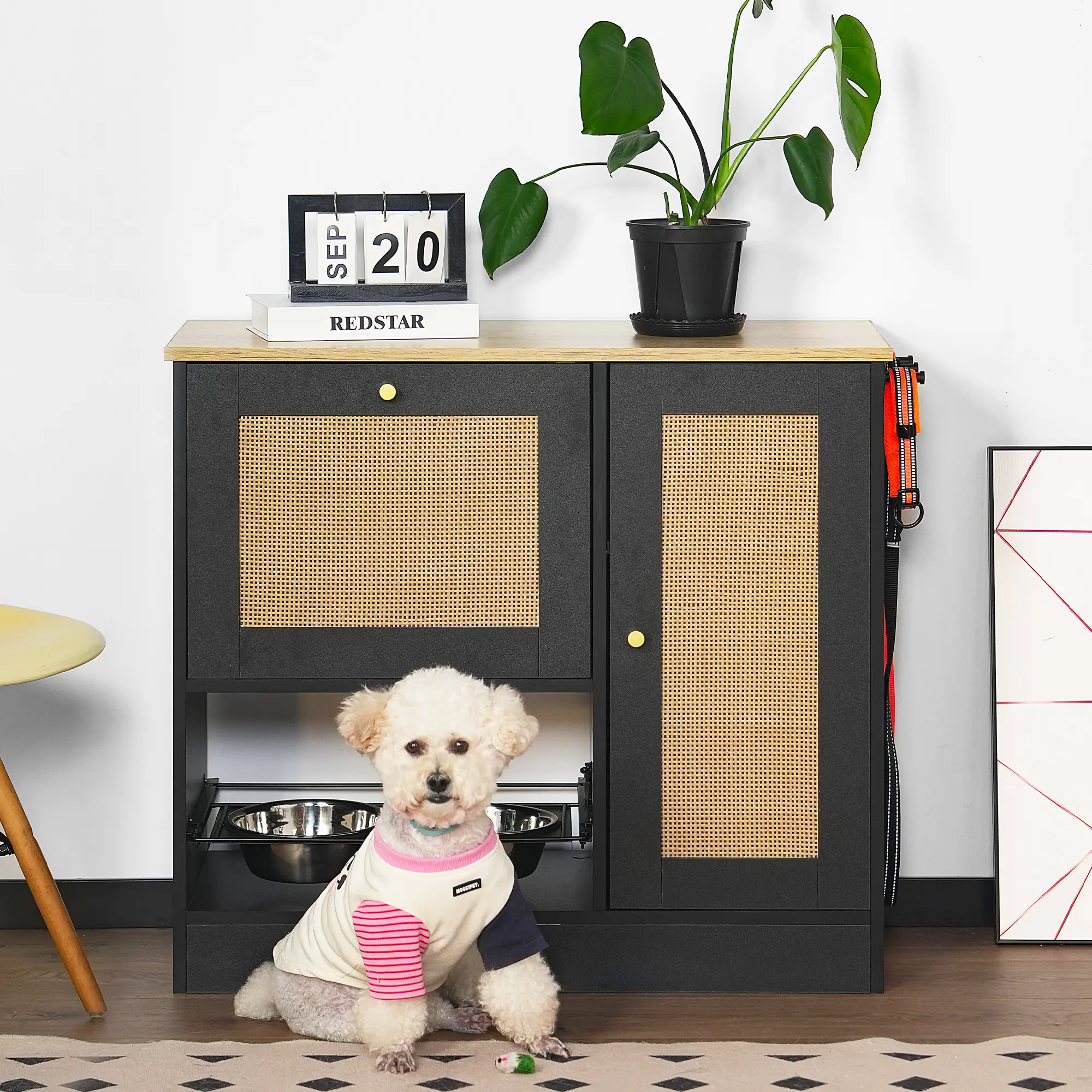 Feeding station with 2 lockers, pet elevated