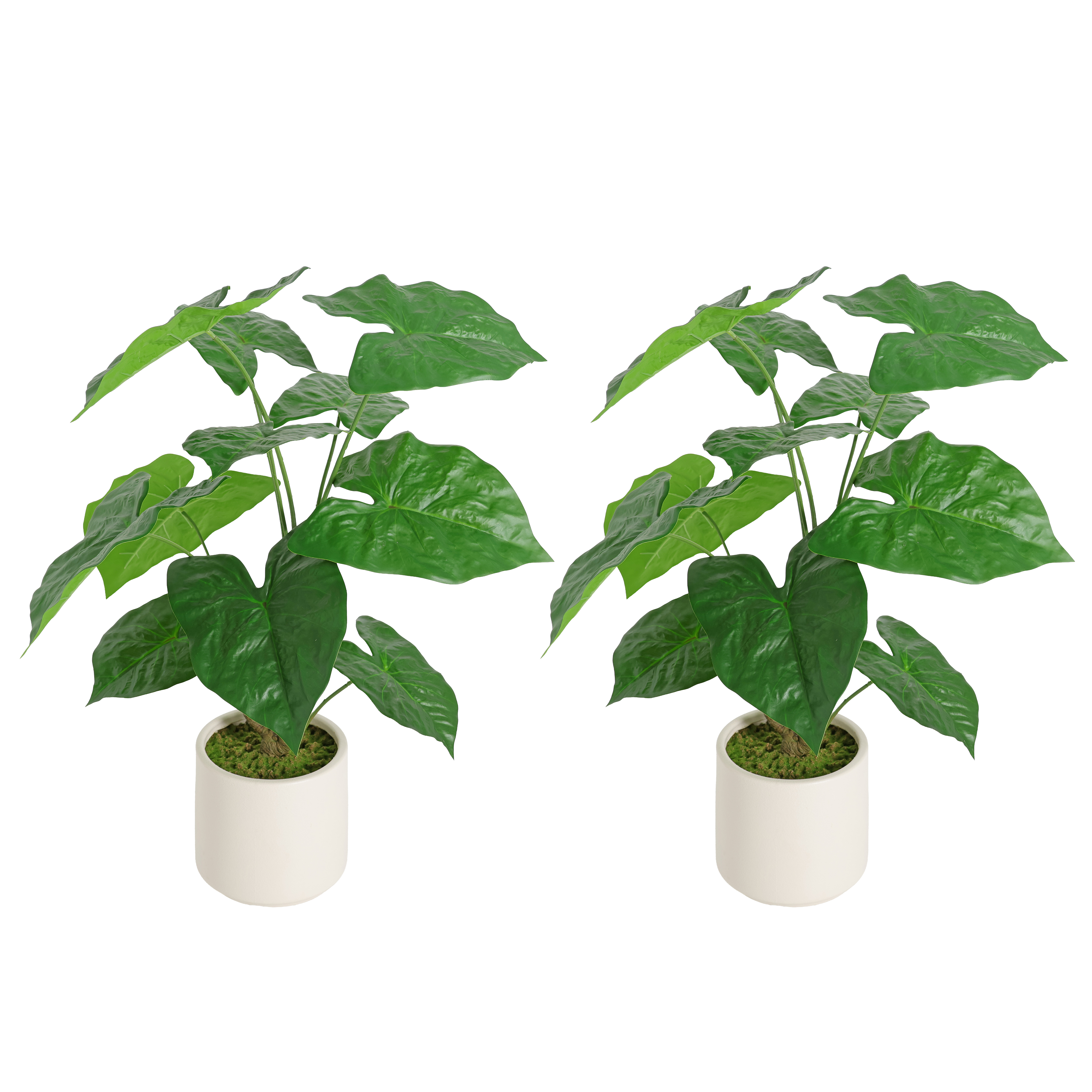30'' Artificial Tropical Alocasia Leaf Plant With White Pot 2pc/set — foto 3