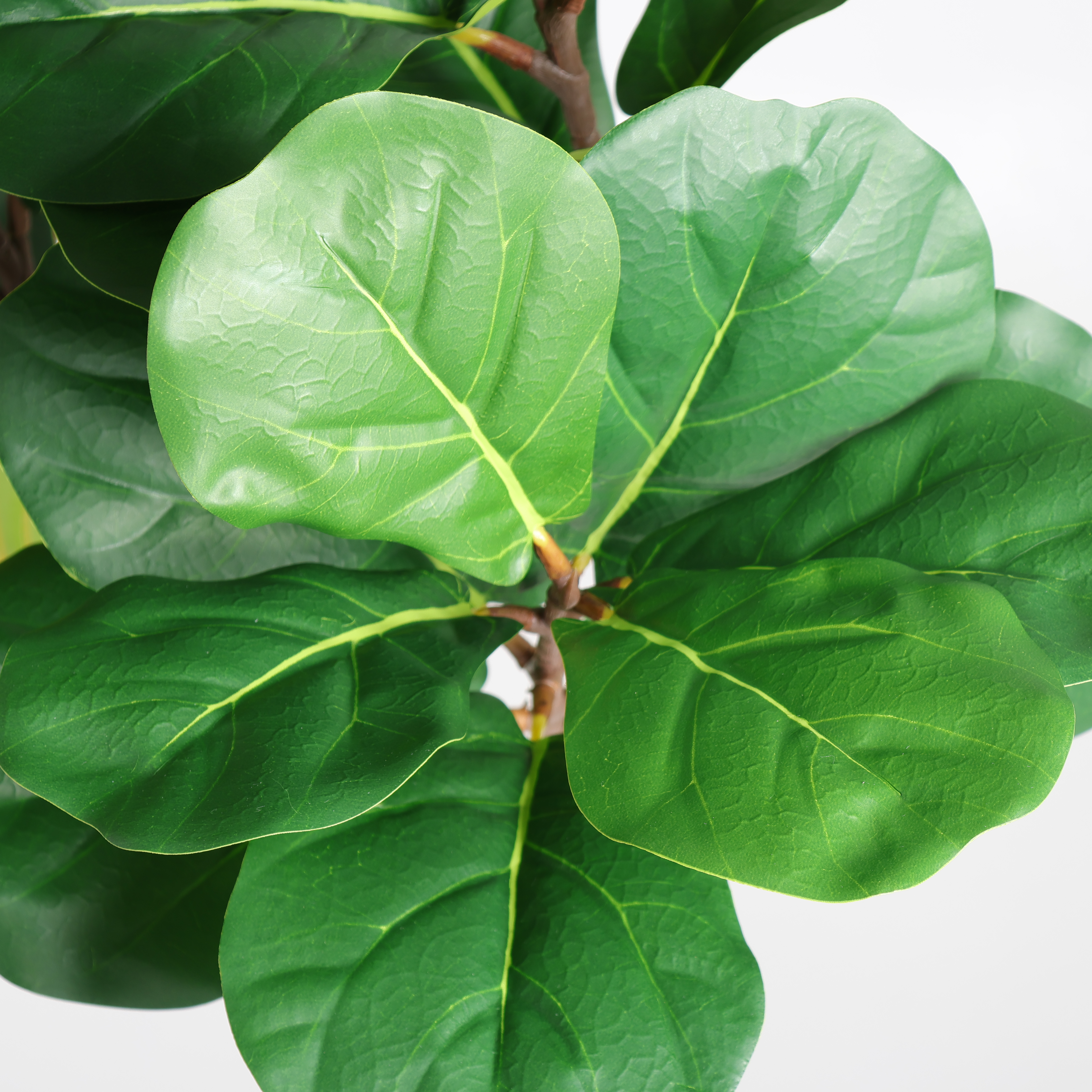 6FT Artificial Fiddle Leaf Fig Tree With Decorative White Pot, Faux Indoor Plant for Home Office Living Room Corner Decoration, 1pc/set — foto 3