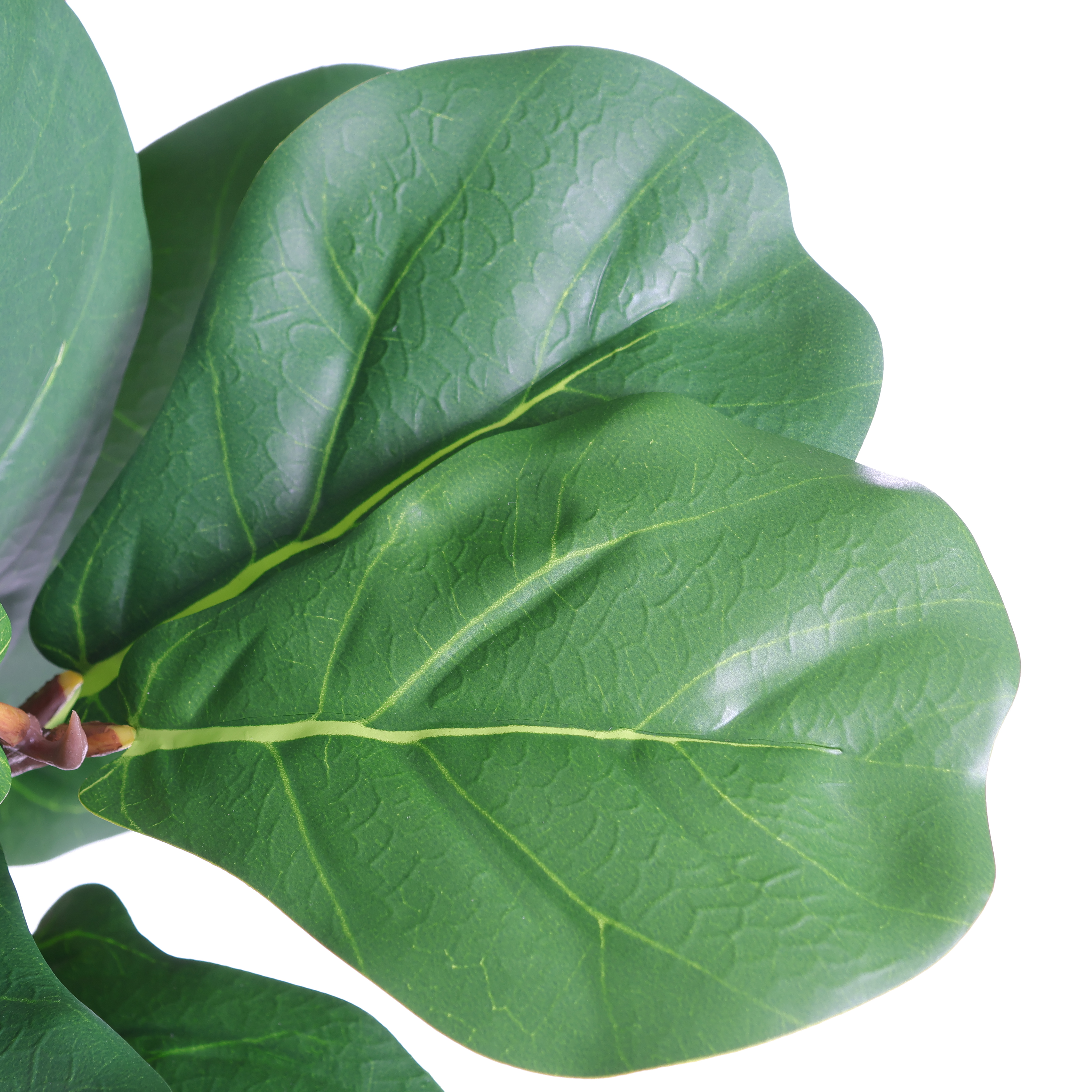 6FT Artificial Fiddle Leaf Fig Tree With Decorative White Pot, Faux Indoor Plant for Home Office Living Room Corner Decoration, 1pc/set — foto 6