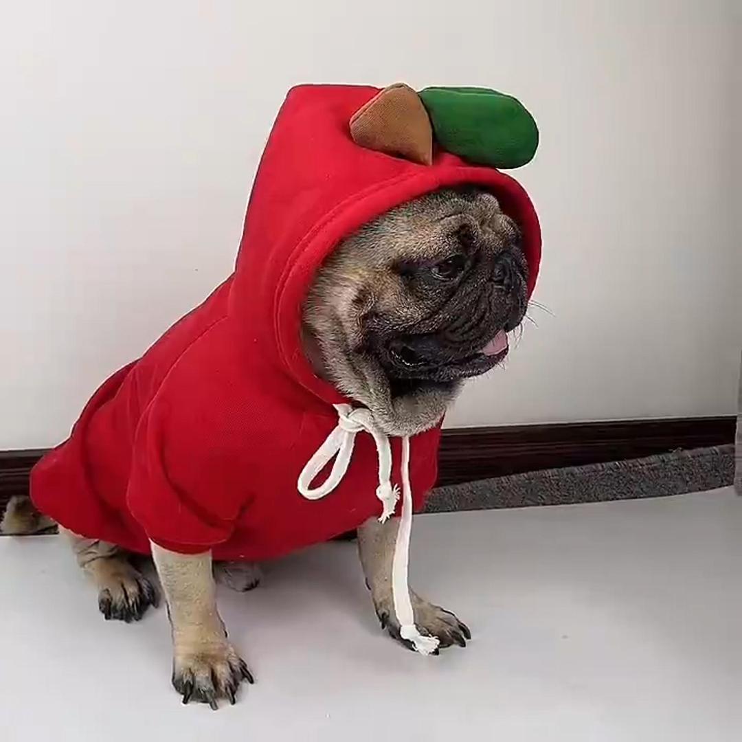 Cute Fruit Dog Hoodie in multiple styles