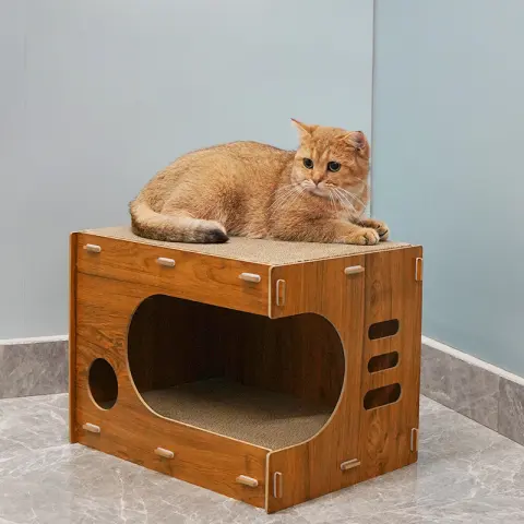 Simple and Spacious Large Double-layer Scratch-resistant Wear-resistant Non-chip Cat
