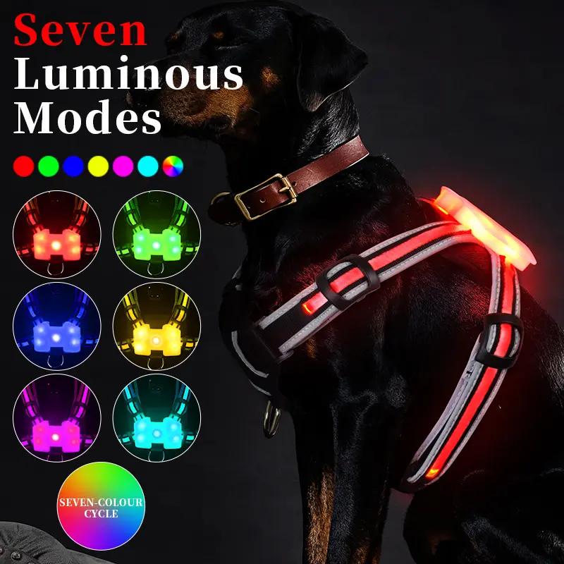 Luminous Strap Charging For Common Dogs Nylon