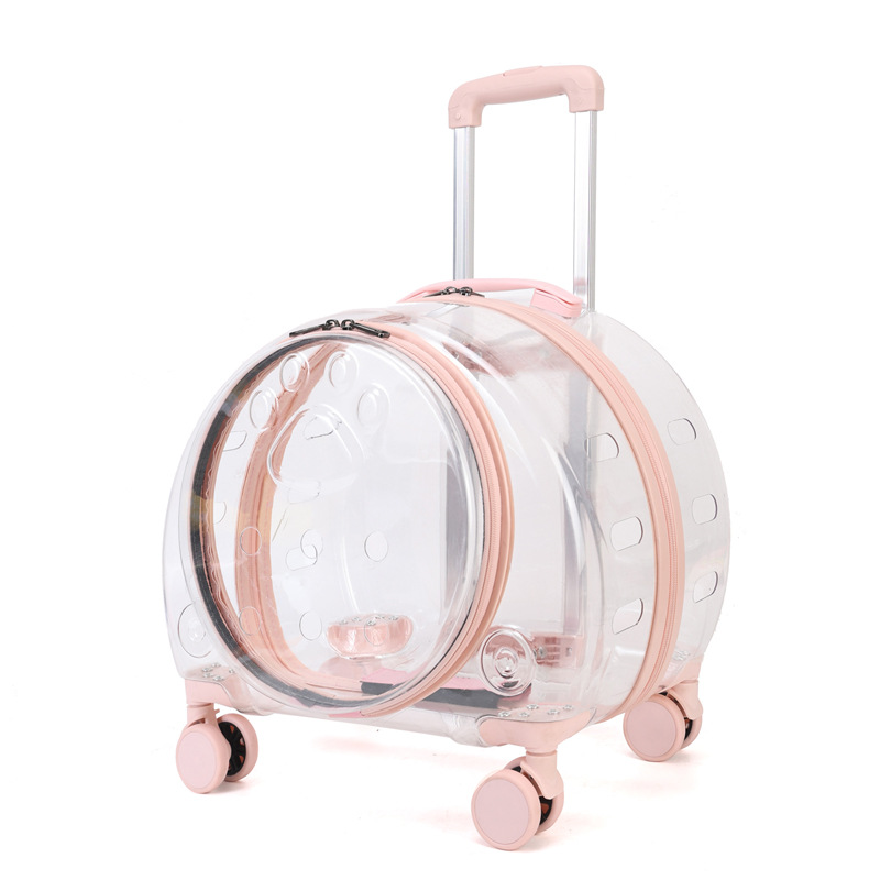 https://cf.cjdropshipping.com/quick/product/00bff048-9210-44e5-a9ef-a0f0c4ea333a.jpg