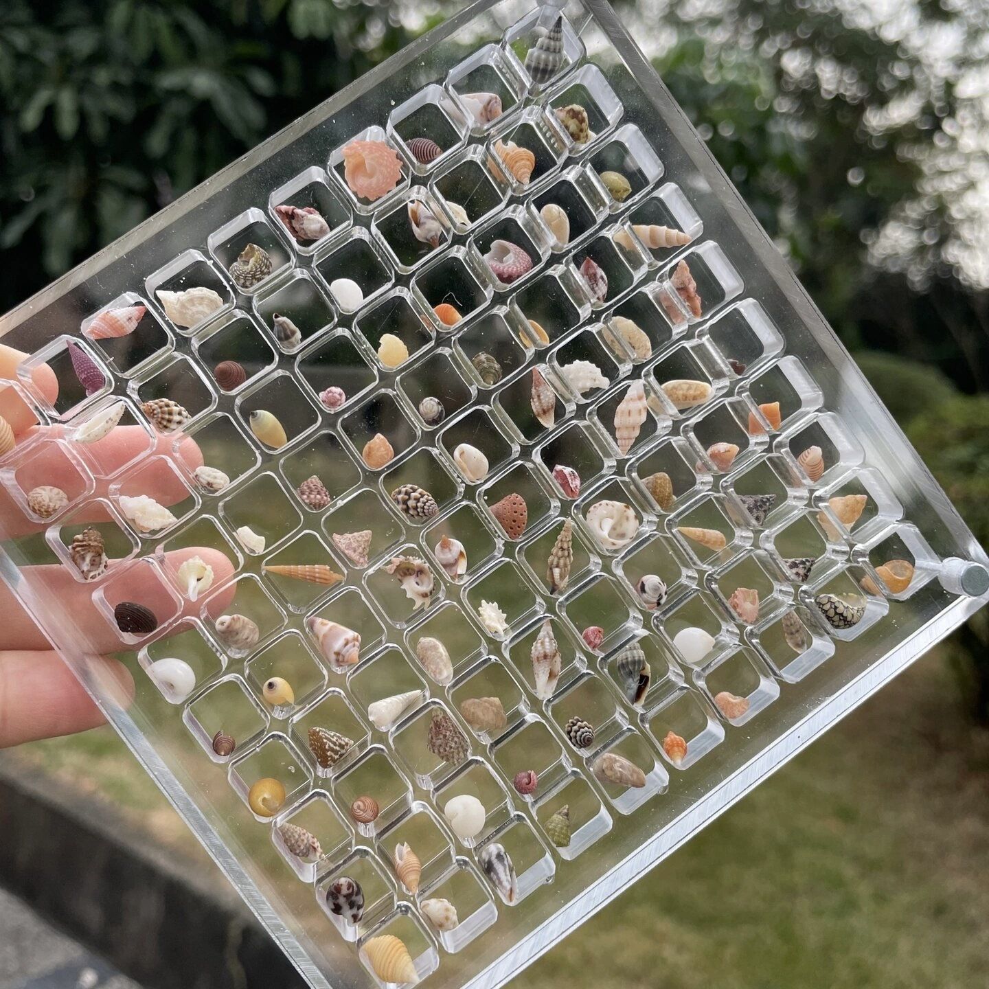 https://cf.cjdropshipping.com/quick/product/00d9fdee-3e6f-49d3-b2d9-0f239e8d24c6.jpg