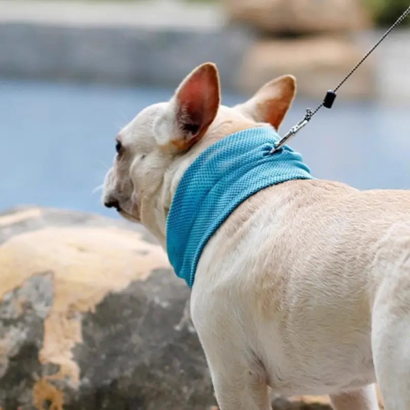 Law Fighting Collar Supplies Triangle Towel Cooling