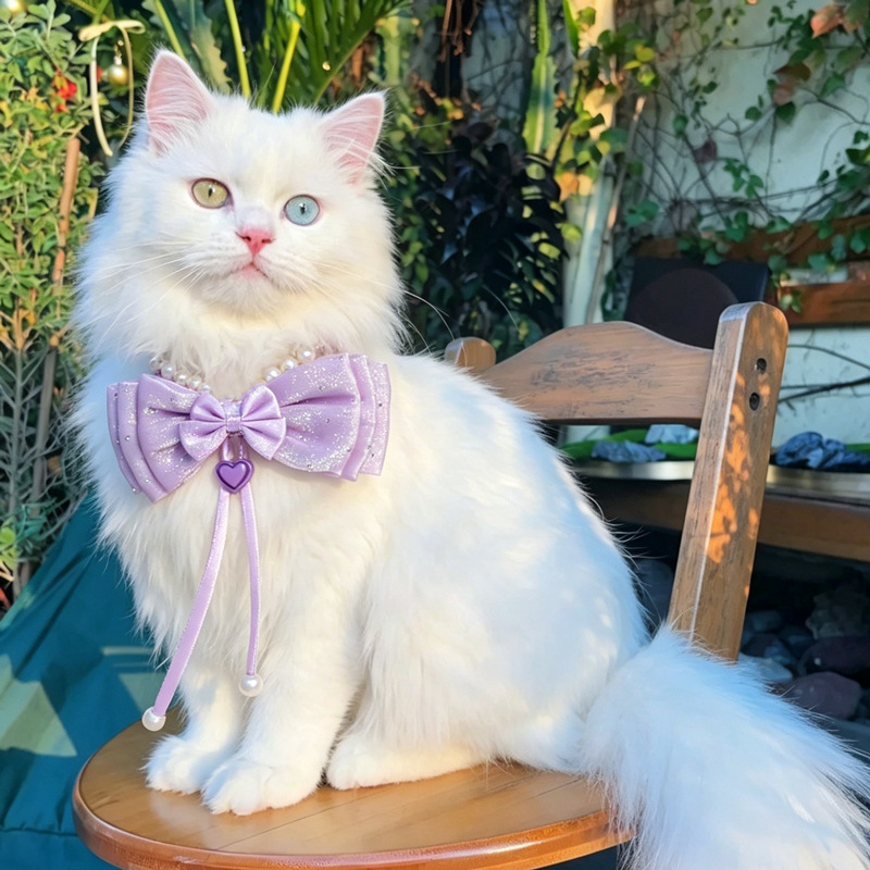 Lace Pom-Pom Pet Collar