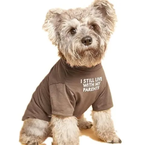 Pet Clothes Round Neck T shirt Khaki - Shop at LoveMi