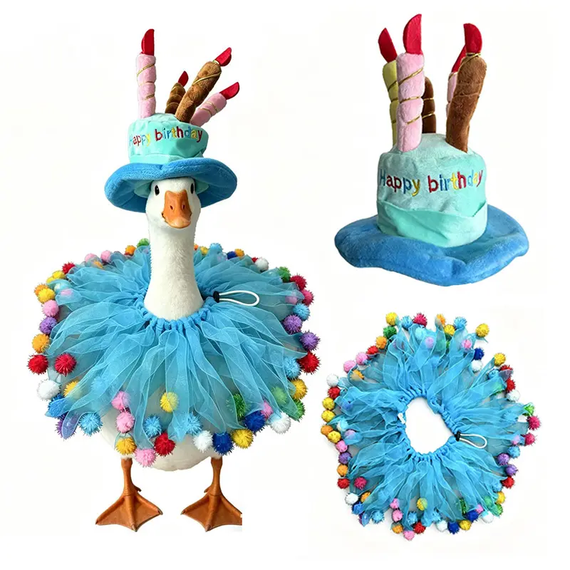 Pet Goose Birthday Hat And Scarf Decor