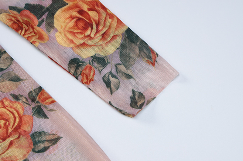 Fashion Mesh Printed Sexy See-through Round Neck Dress Women