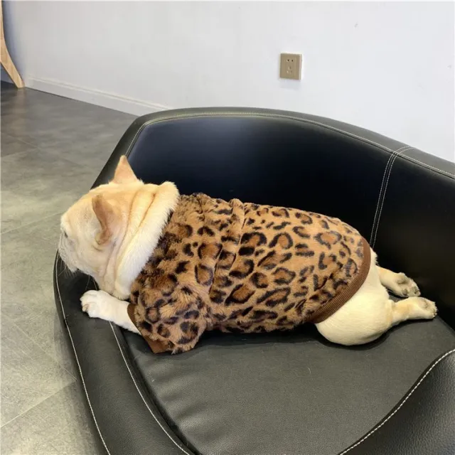 Dog Clothes Fleece Lined Padded Warm Keeping Corgi And Shiba Inu Jarre Aero Bull Brown - Shop at LoveMi