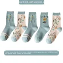 Combination1-One Size-5Pair