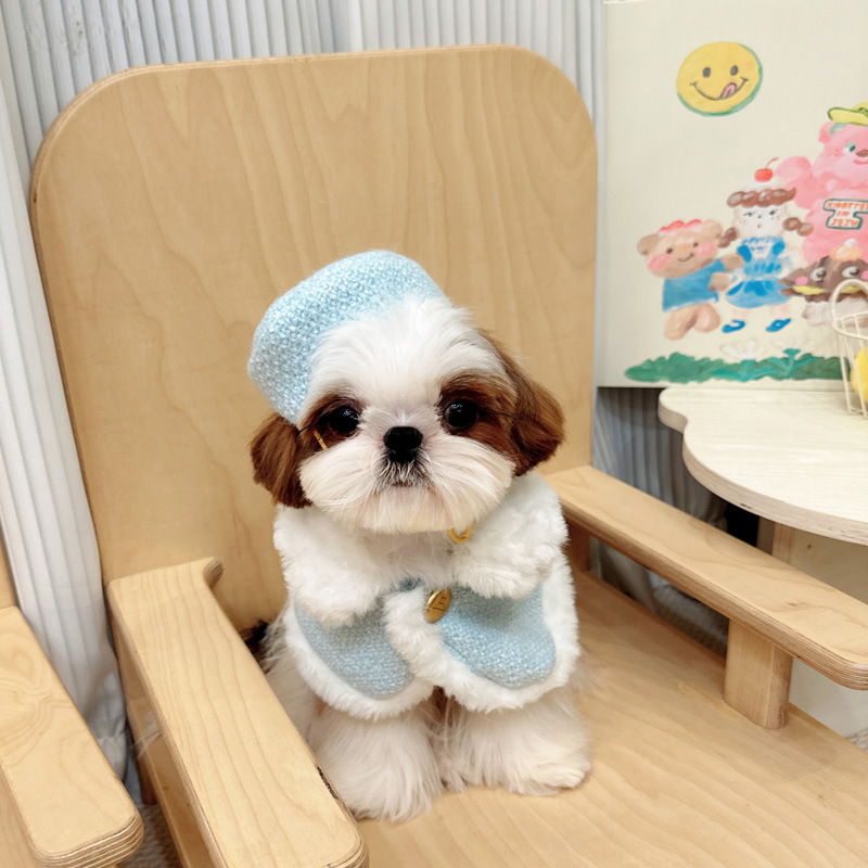Pet Dog Autumnwinter Chanel-style Sleeping Warm Cape Blanket Clothing detail photo 3