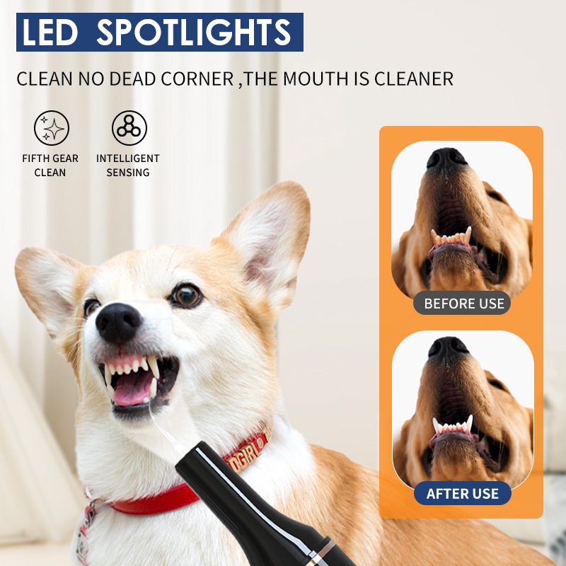 Détartreur dentaire pour chien et chat, appareil à ultrasons