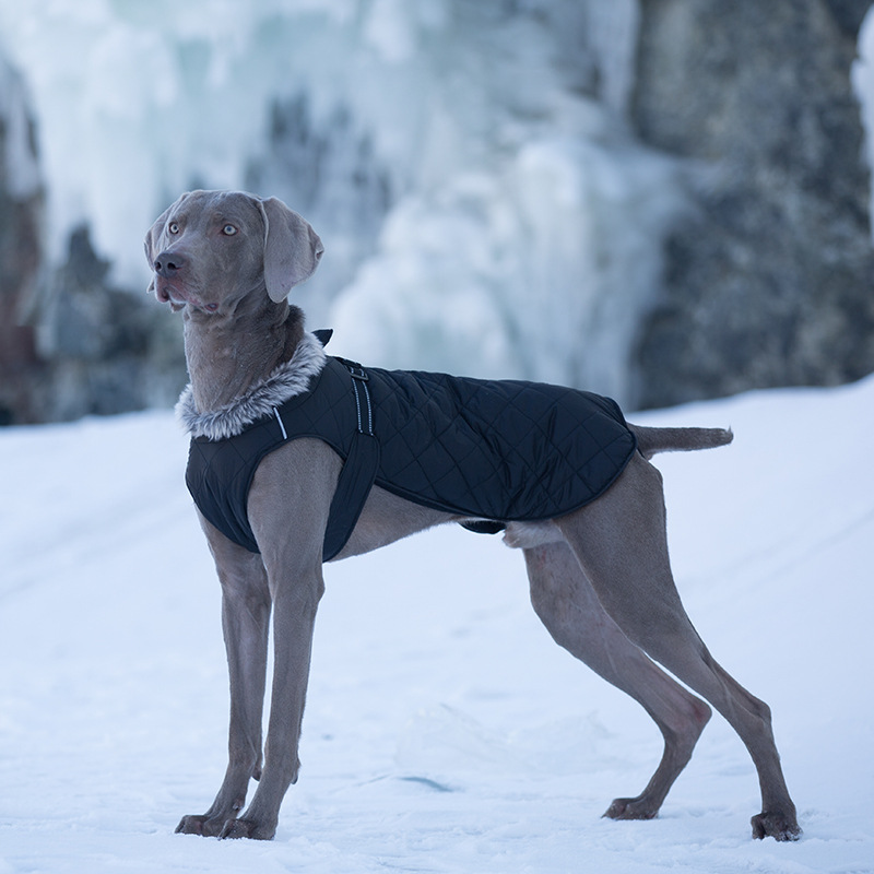 Pet Clothing Cotton Coats Wholesale, Winter Heavy-duty Jackets For Large Dogs