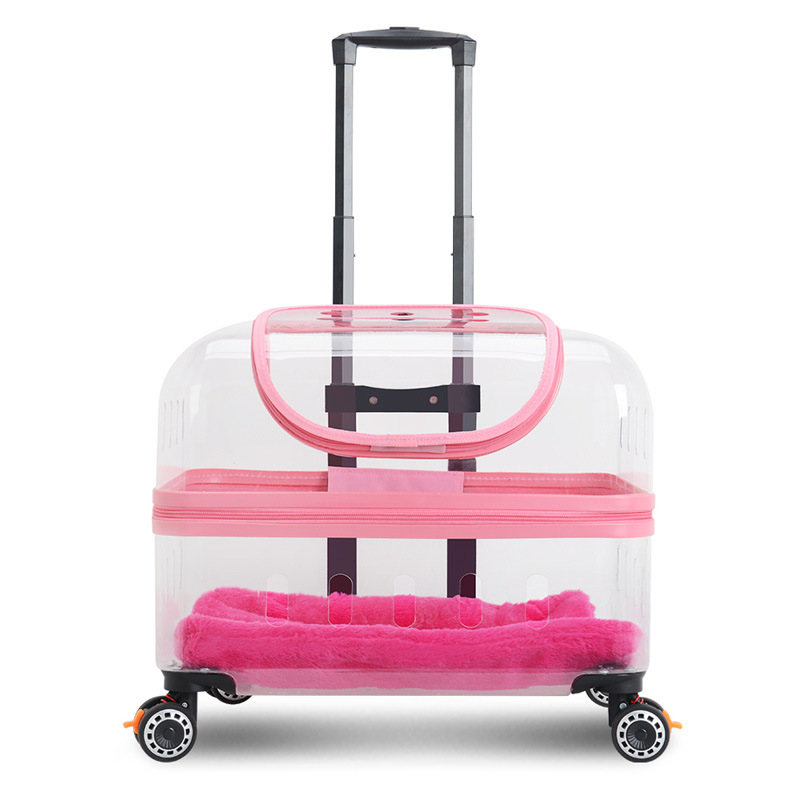 https://cf.cjdropshipping.com/quick/product/04149eaf-a2e5-4f7f-bb79-13fb98071ffa.jpg