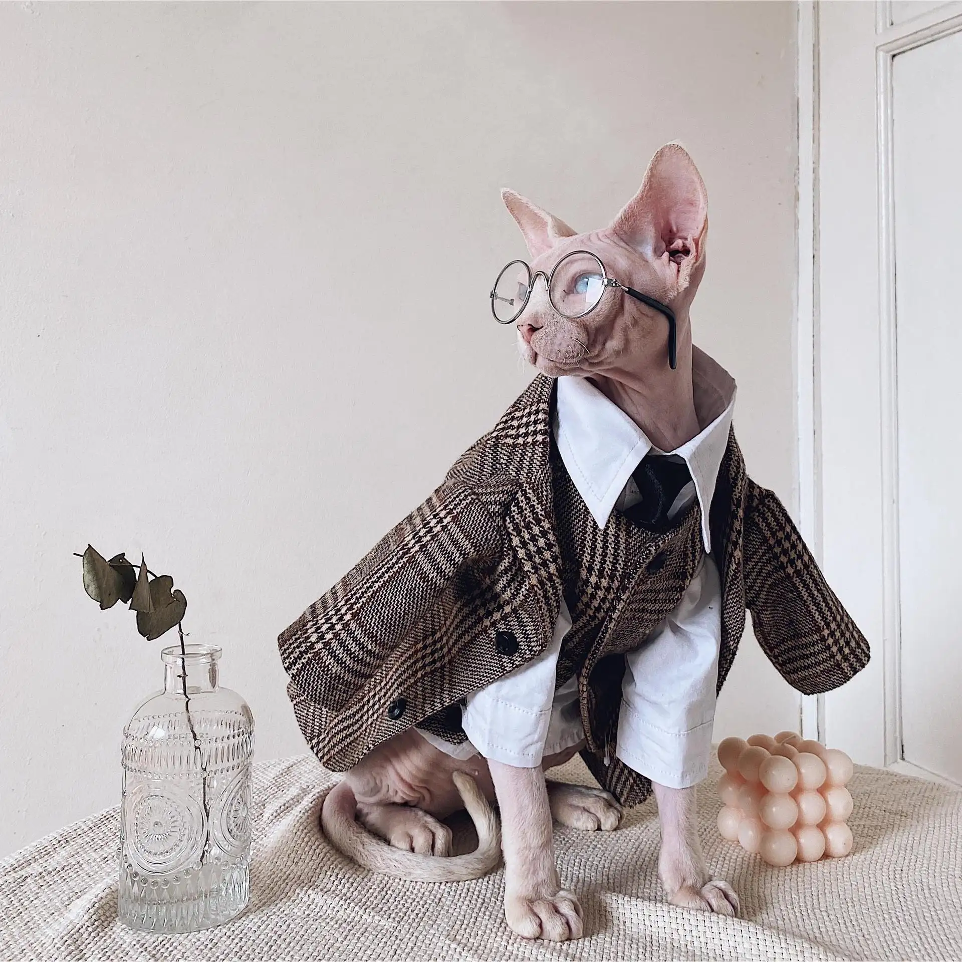 Sphynx Cat Dress Shirt Tie Vest Blazer