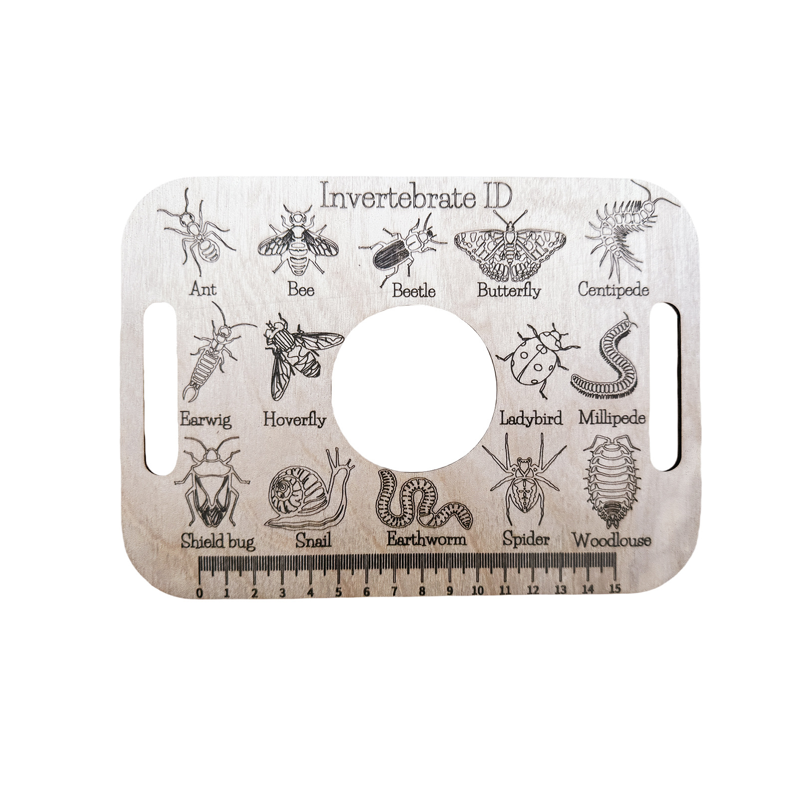 Insect Encyclopedia Ruler