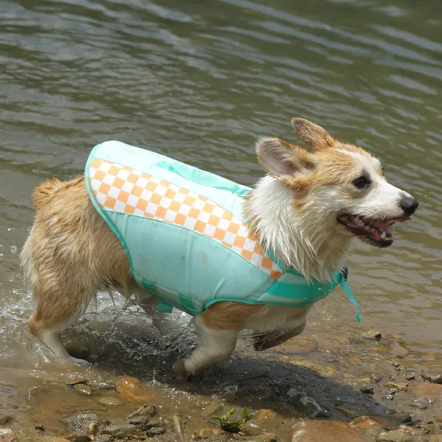 Summer Pet Dog Corgi Golden Retriever Clothes Plaid Contrast Color - Shop at LoveMi