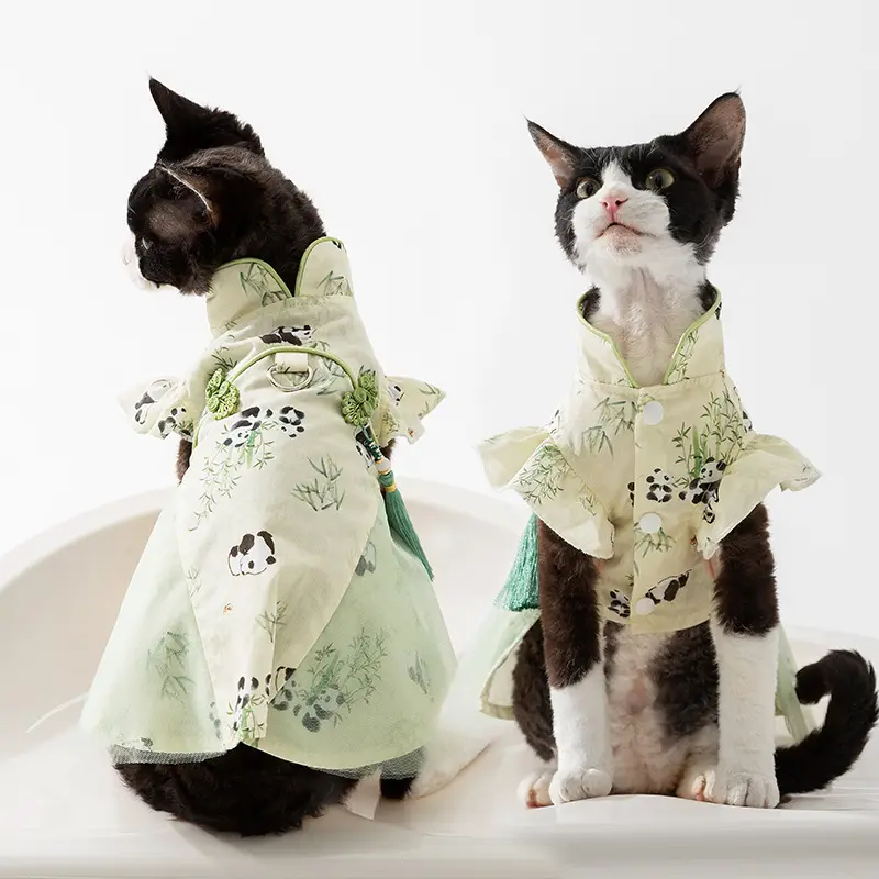 Sphynx Cat Summer Dress