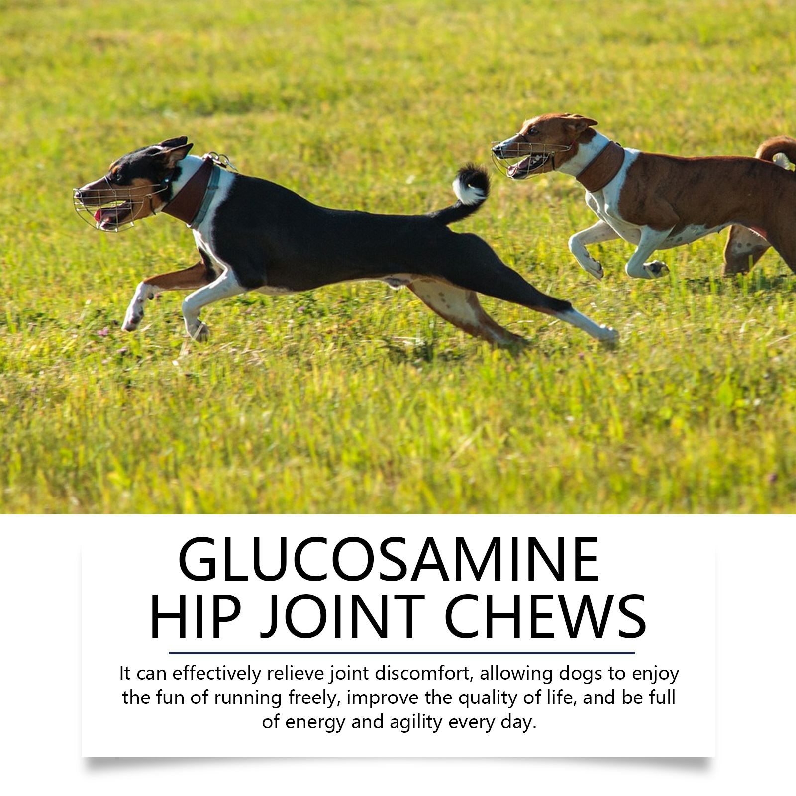 Canine Joint Care Tablets — foto 5