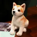 Sitting Posture