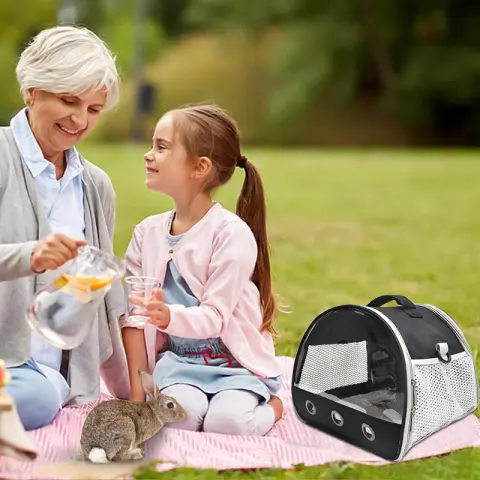Pet Portable Shoulder Messenger Bag
