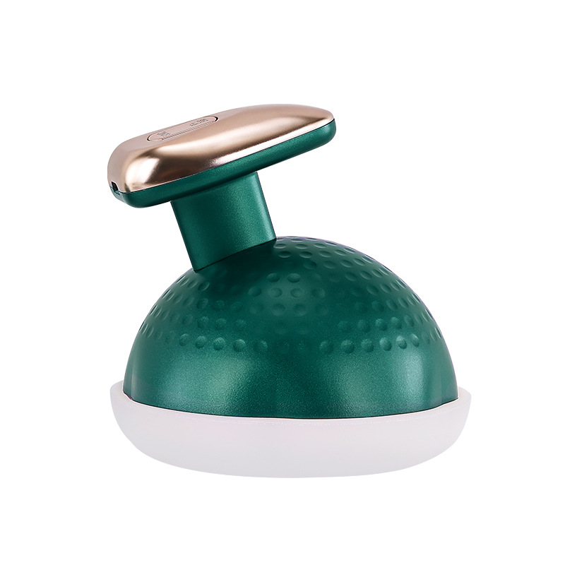 Handheld EMS Micro Current Massage Beauty Instrument