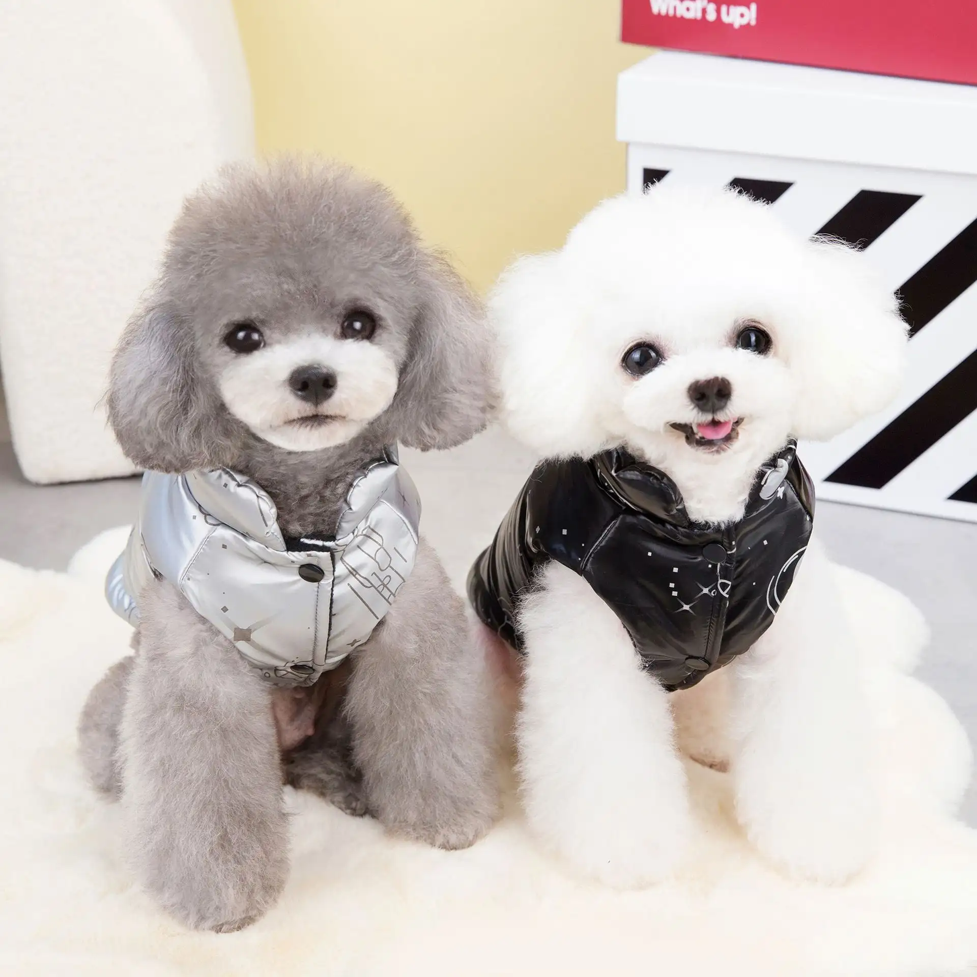 Autumn And Winter Dog Clothes Teddy Cat Pet Clothes