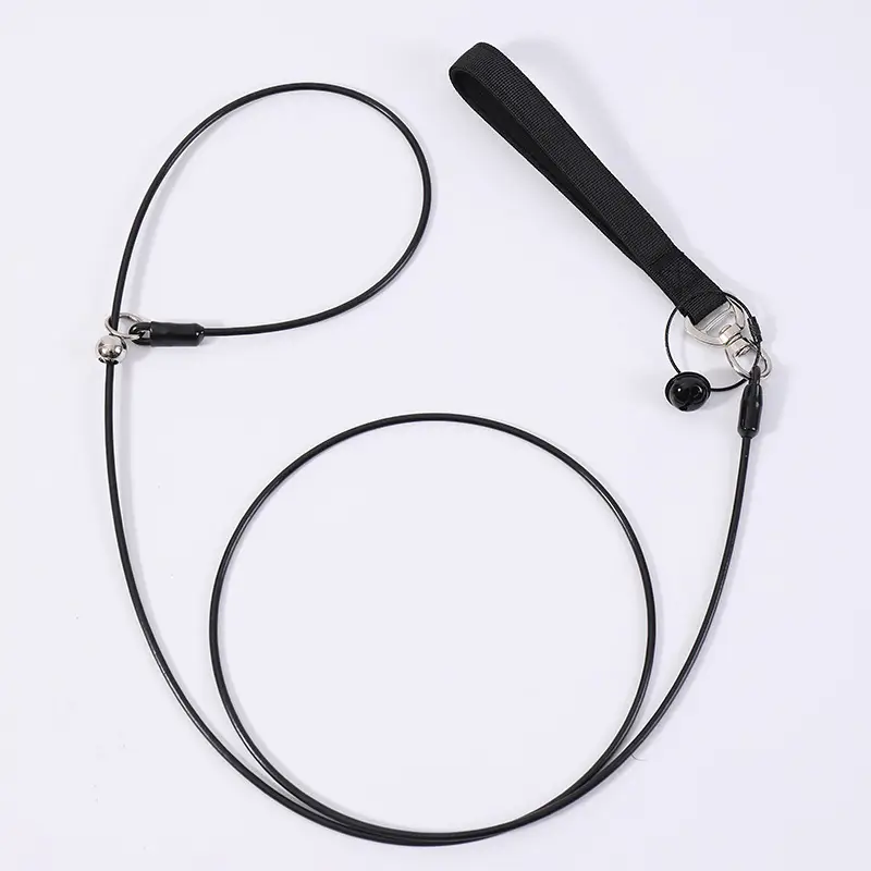 Pet Leash And Collar Dog Walking Leash