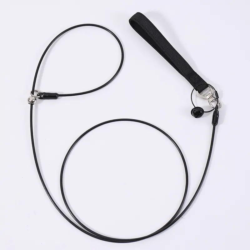 Pet Leash And Collar Dog Walking