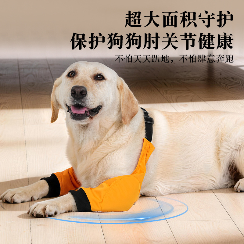 https://cf.cjdropshipping.com/quick/product/073fb899-046d-4e60-aac5-74dc6c3cce63.jpg