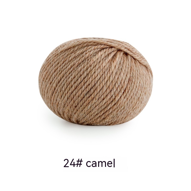 24 Camel