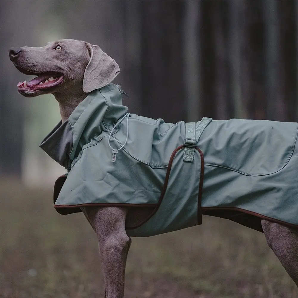Outdoor Soft Shell Waterproof Windproof Warm Dog