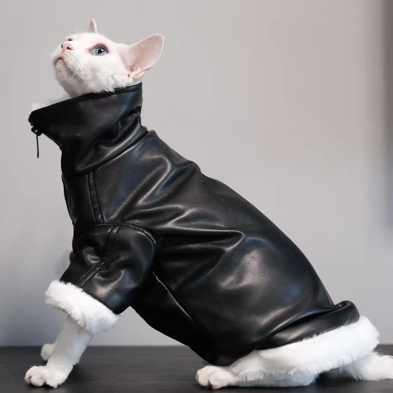 Fashion Sphynx Cat Faux Leather Biker Jacket Soft Fleece Lining Winter Clothes