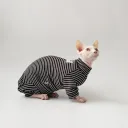 Four Legged Pet Clothing
