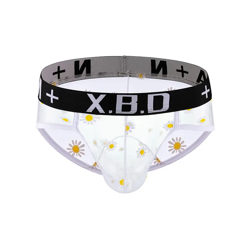 Men's Underwear Mesh See Through Breathable Sexy Briefs